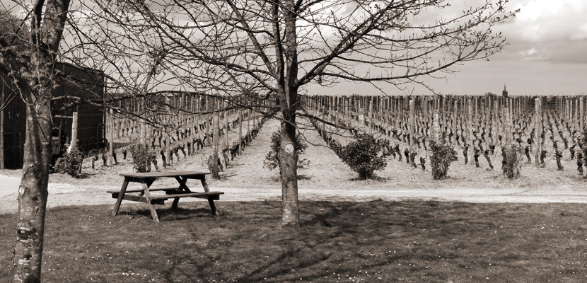 Weingut Barnsole photo